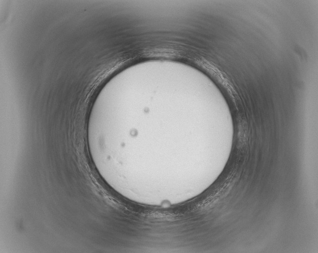 X0000115760529200912041412