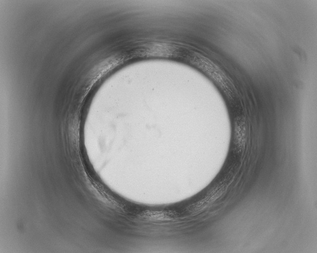 X0000115760534200912041412