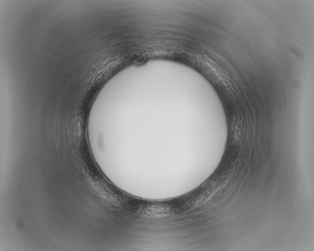 X0000115760546200912041412