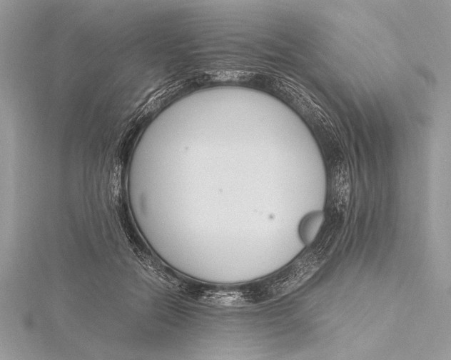 X0000115760554200912041413