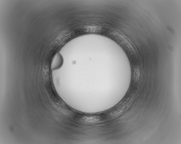 X0000115760557200912041413