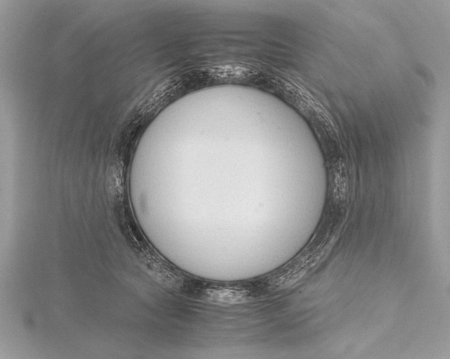 X0000115760561200912041413