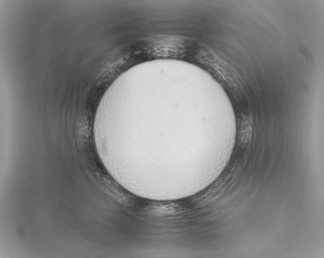 X0000115760569200912041413