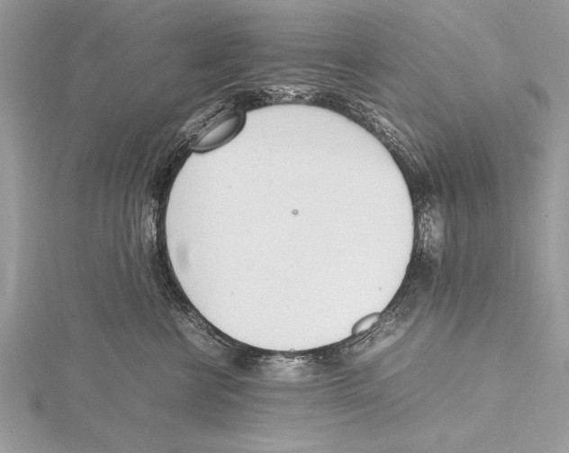 X0000115760570200912041413