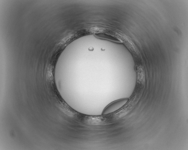 X0000115760573200912041413