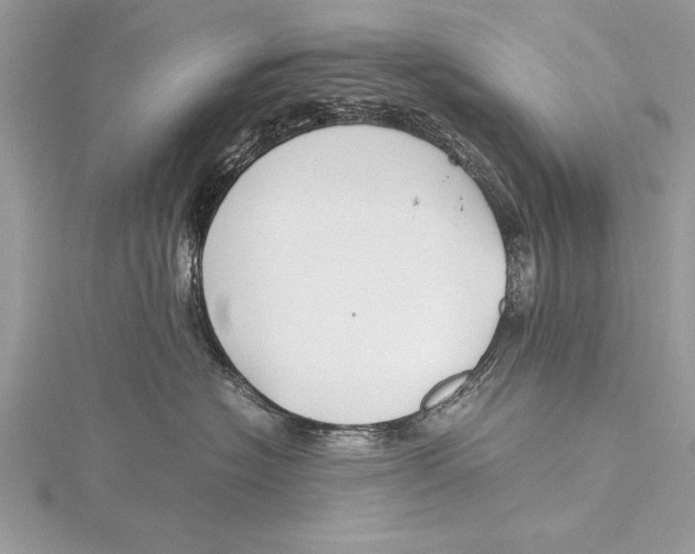 X0000115760574200912041413