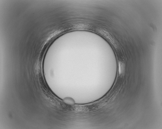 X0000115760579200912041412