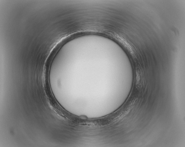 X0000115760580200912041412