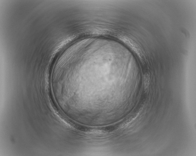 X0000115760581200912041412