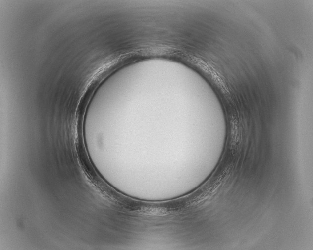 X0000115760582200912041412