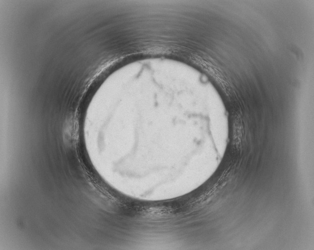 X0000115760584200912041412