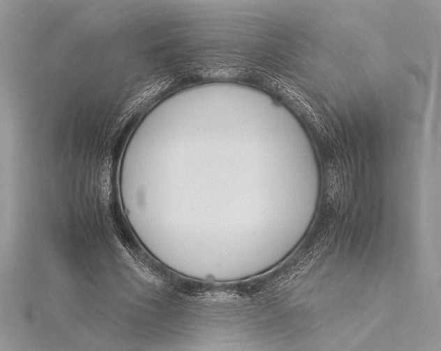 X0000115760586200912041412