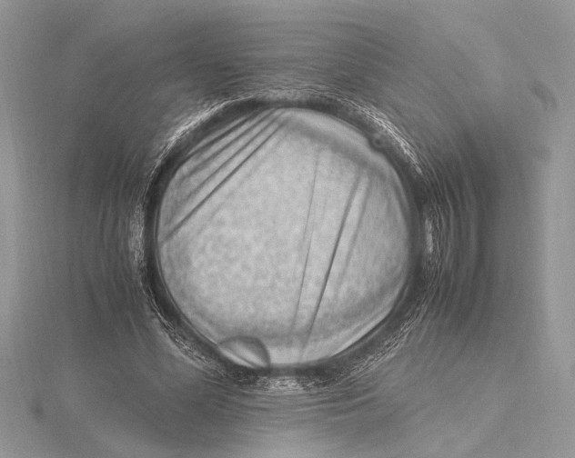 X0000115760588200912041412