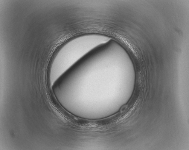 X0000115760589200912041412