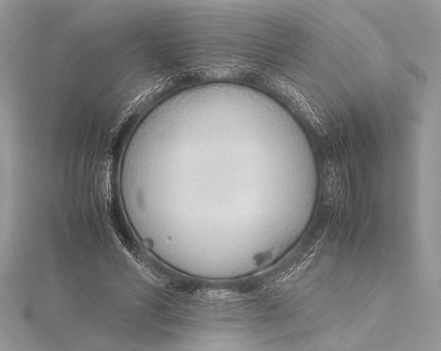 X0000115760590200912041412