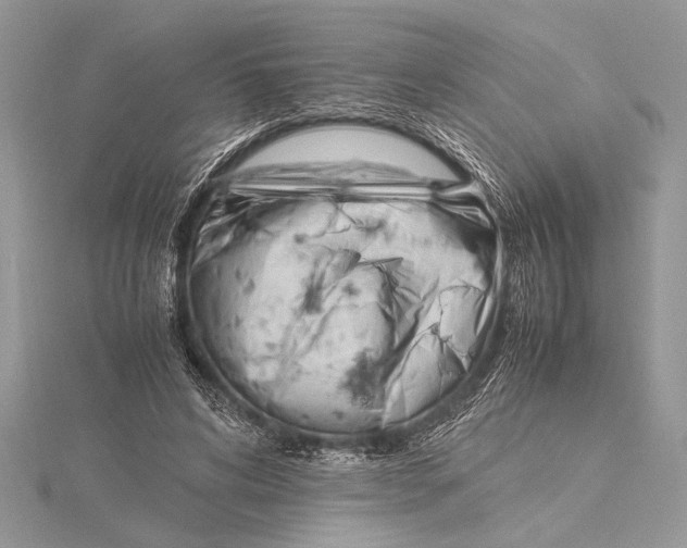 X0000115760592200912041412