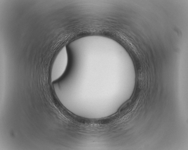 X0000115760593200912041412