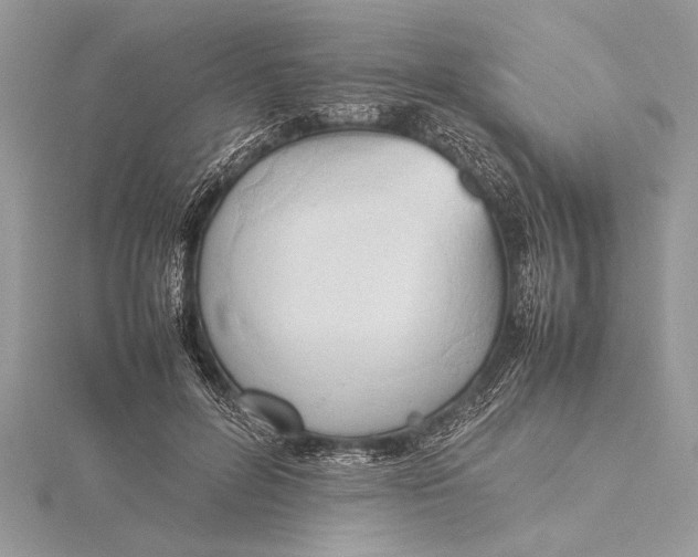 X0000115760600200912041412