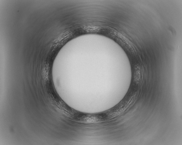 X0000115760604200912041412