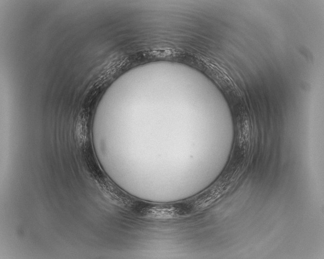 X0000115760606200912041412