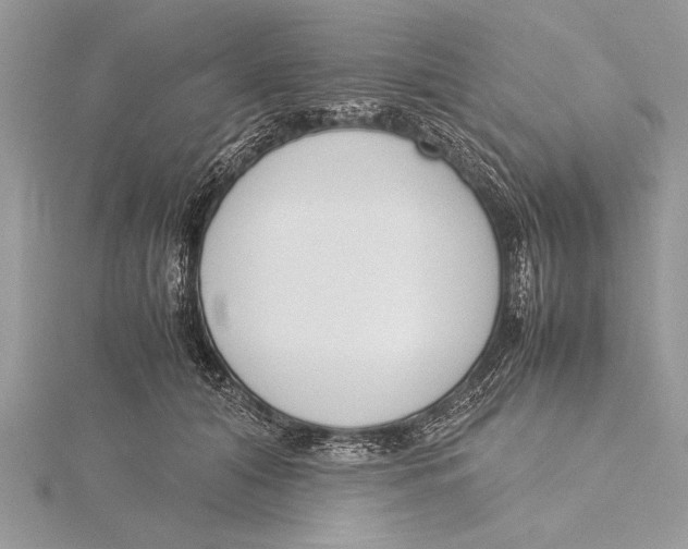 X0000115760608200912041412