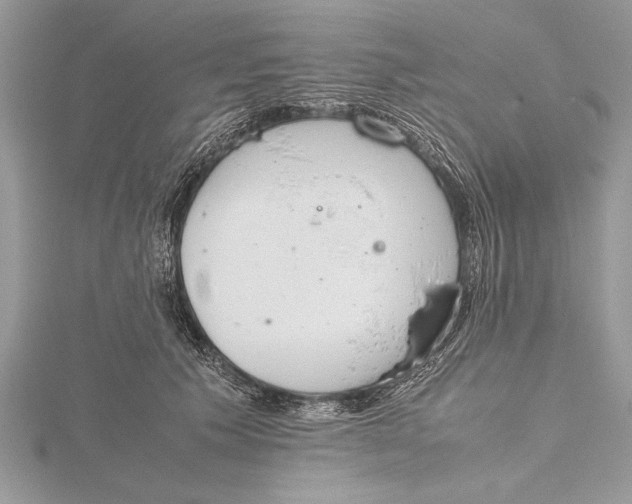 X0000115760609200912041412