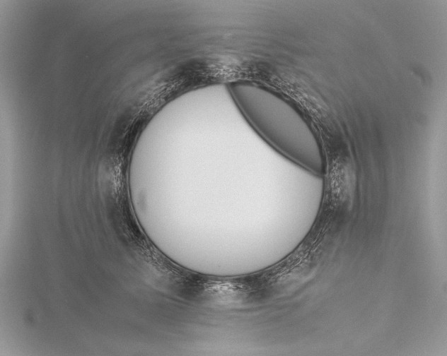 X0000115760611200912041412