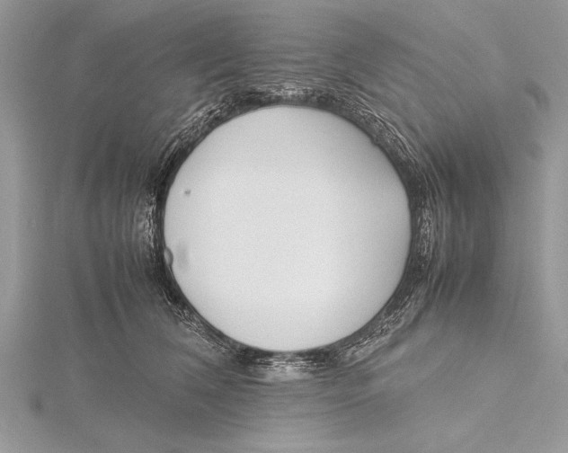 X0000115760612200912041412