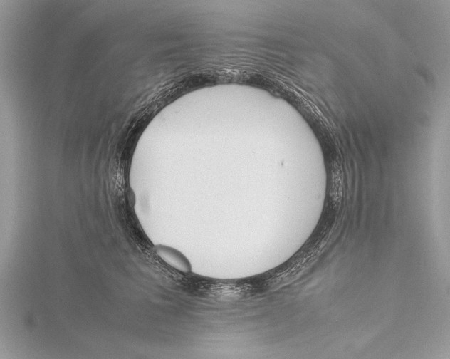 X0000115760613200912041412