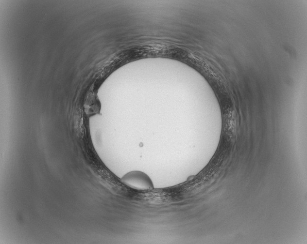 X0000115760615200912041412