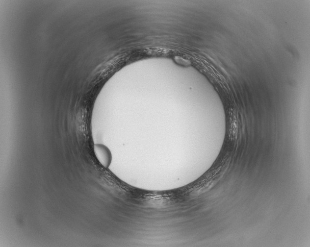 X0000115760616200912041412