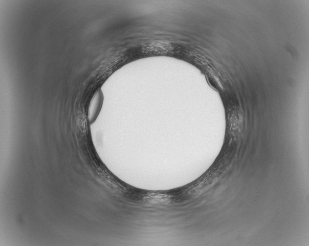 X0000115760617200912041412