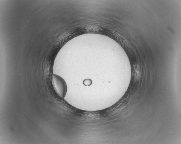 X0000115760619200912041412