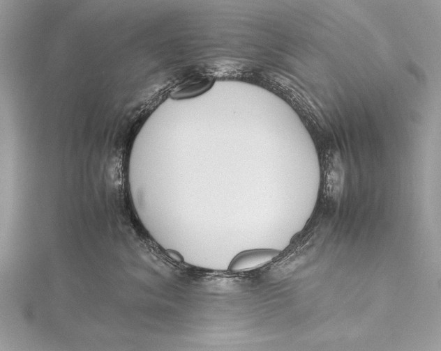 X0000115760620200912041412