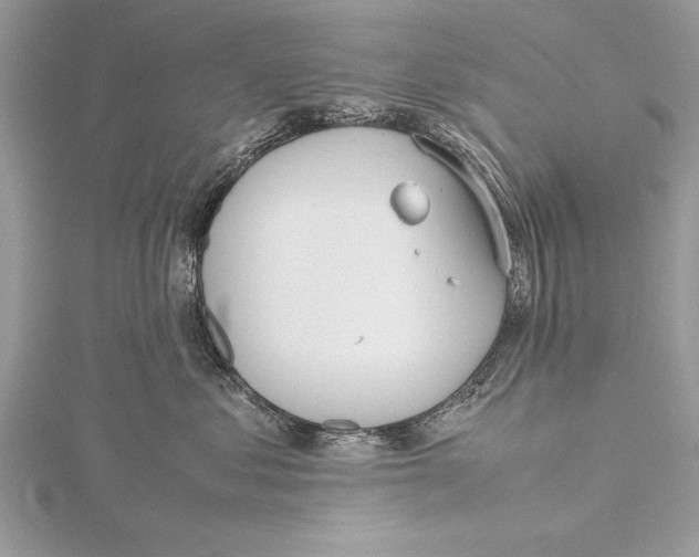 X0000115760621200912041412