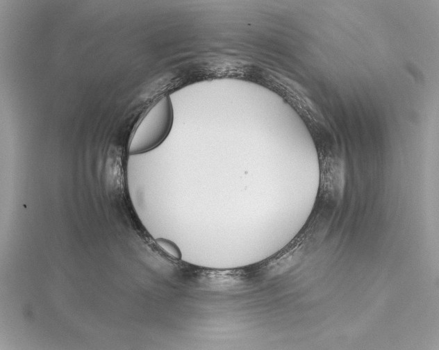 X0000115760622200912041412