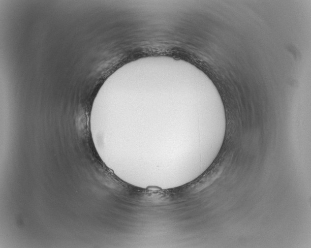 X0000115760624200912041412