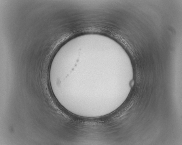 X0000115760625200912041411