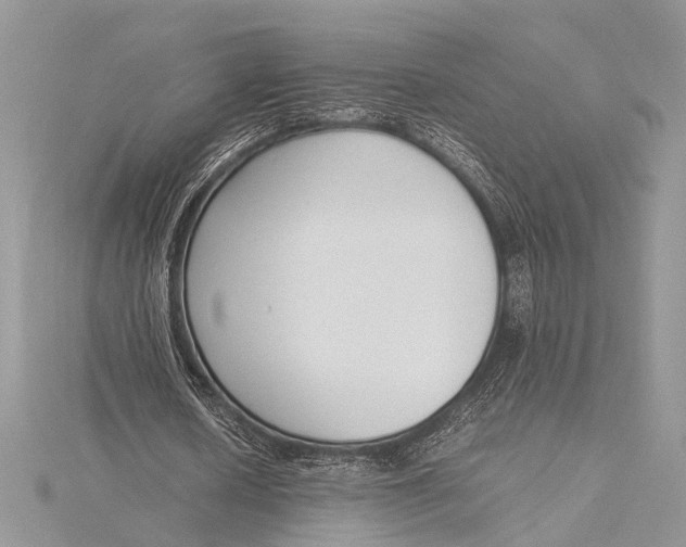 X0000115760626200912041411