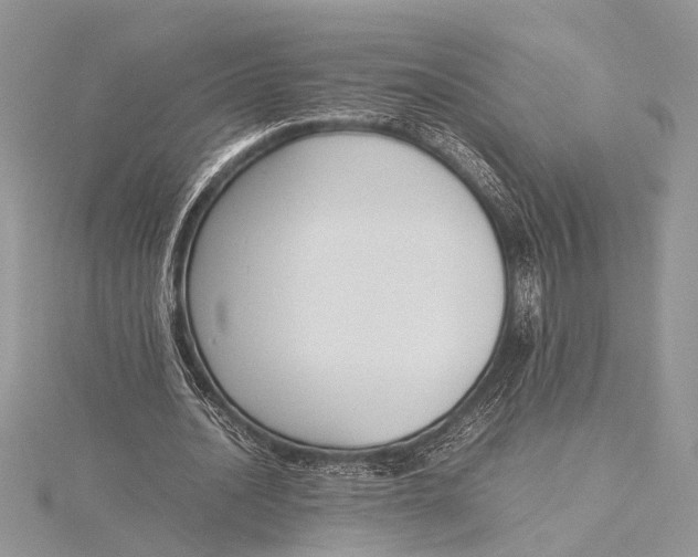 X0000115760628200912041411