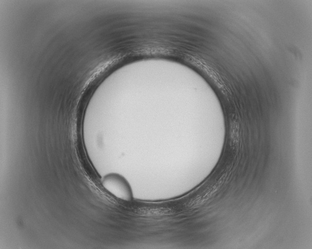 X0000115760629200912041411