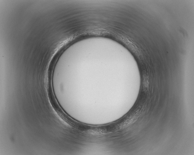 X0000115760630200912041411