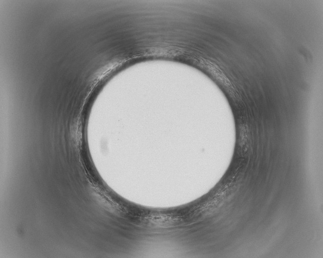 X0000115760632200912041411