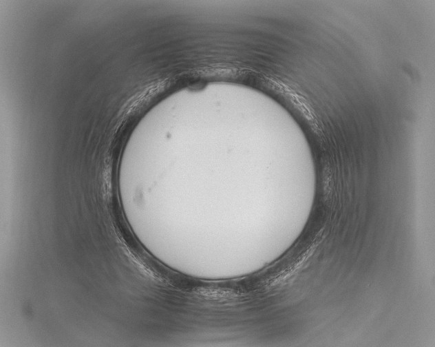 X0000115760633200912041411