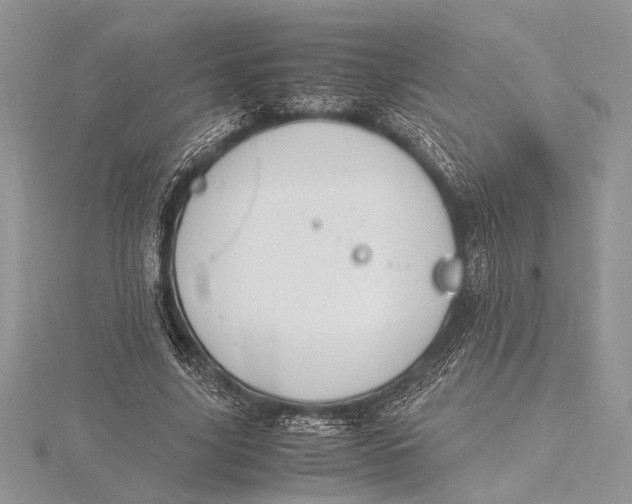 X0000115760635200912041411