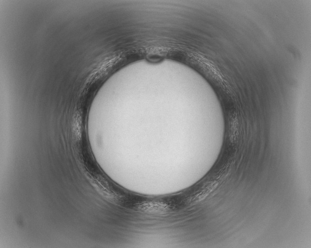 X0000115760644200912041411