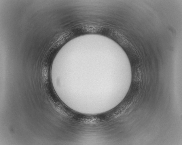 X0000115760646200912041411