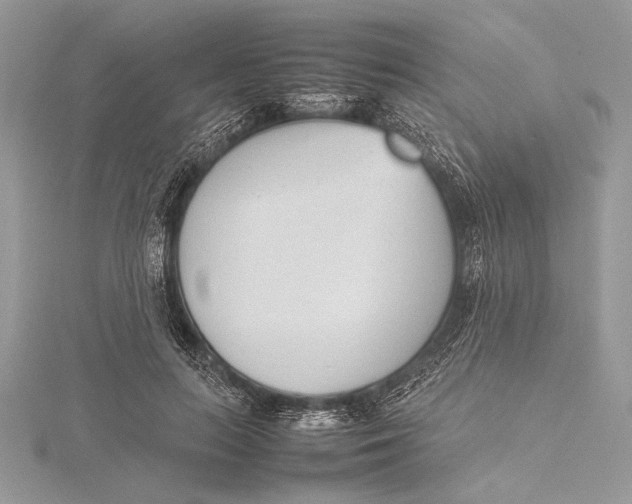 X0000115760647200912041411