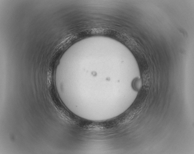 X0000115760648200912041411