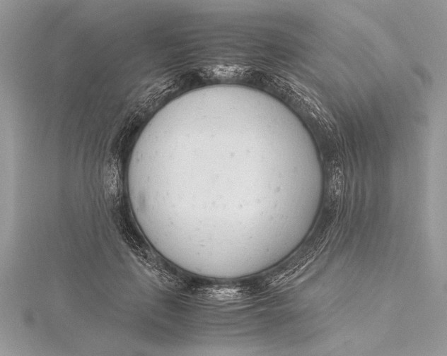 X0000115760651200912041411